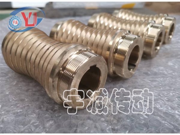 法拉利五軸加工中間銅蝸桿